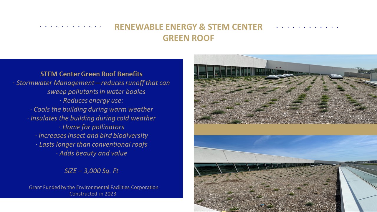STEM Green Roof