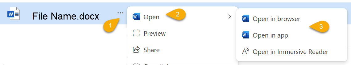 Screenshot of File in OneDrive options