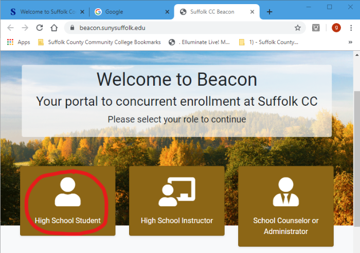 Beacon Website Homepage