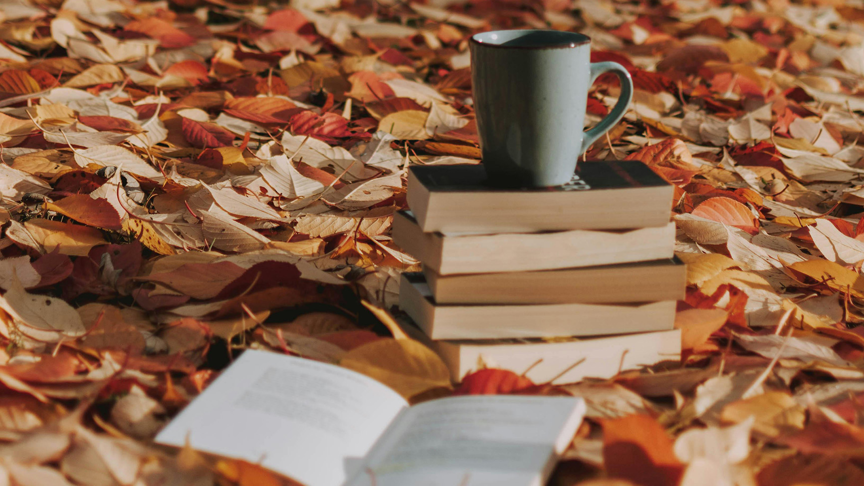 A stack of books and coffee cup on autumn leaves.